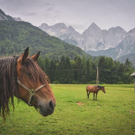 Klass 210 Kranjska Gora Ngoại thất bức ảnh