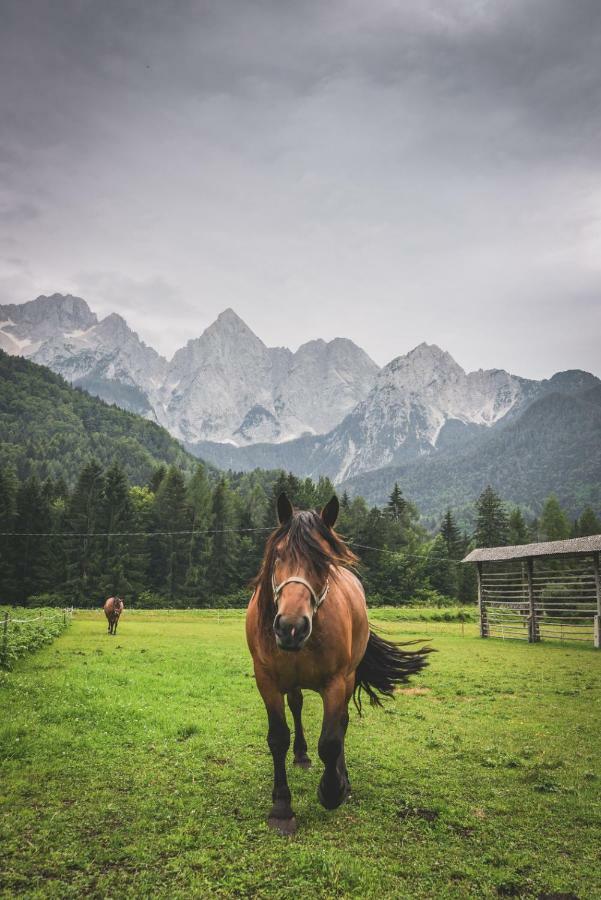 Klass 210 Kranjska Gora Ngoại thất bức ảnh