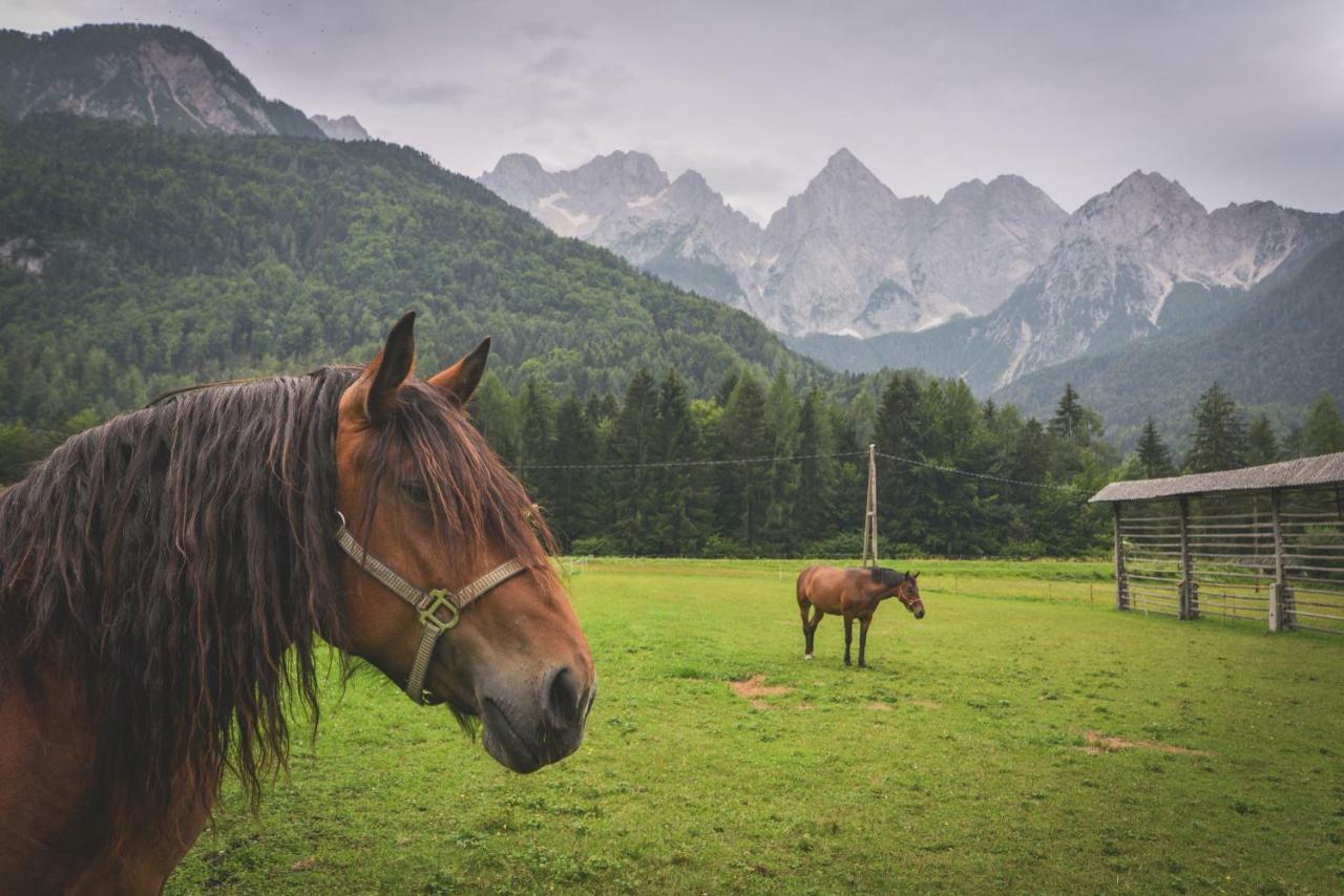 Klass 210 Kranjska Gora Ngoại thất bức ảnh